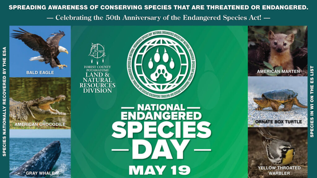 National Endangered Species Day - Forest County Potawatomi